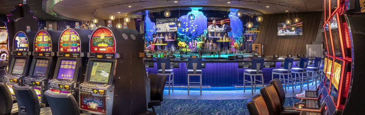 Paradise Casino